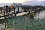 Pemanfaatan lahan basah di Jakarta Utara