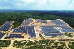 Buktikan IKN Dilayani Energi Bersih, PLN Operasikan PLTS Tahap 1 Kapasitas 10 MW