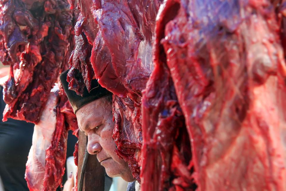 Pemerintah Buka Keran Impor di Tengah Anjloknya Harga Daging Sapi