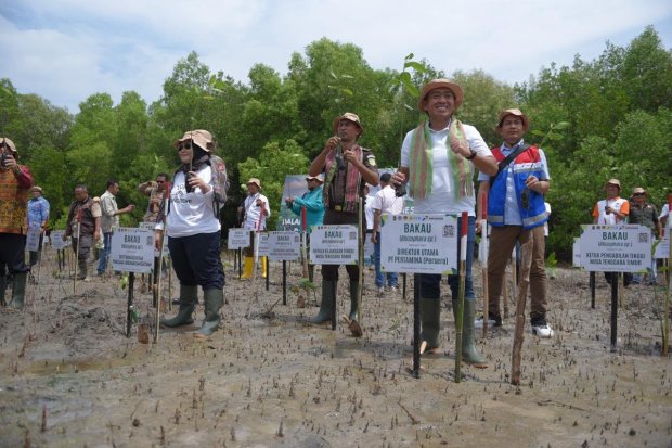 Pertamina melalui Program Tanggung Jawab Sosial & Lingkungan (TJSL) Hutan Pertamina memulihkan lingkungan melalui rehabilitasi mangrove di Nusa Tenggara Timur (NTT).