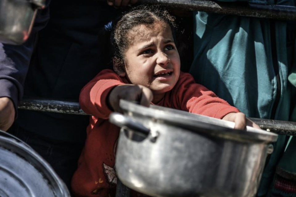 ancaman kelaparan di Gaza, gaza, kelaparan