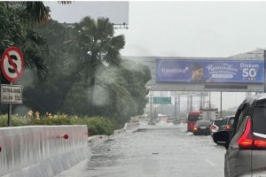 Banjir Jalan Tol Sedyatmo, Jakarta
