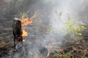 Kebakaran lahan meluas di Dumai