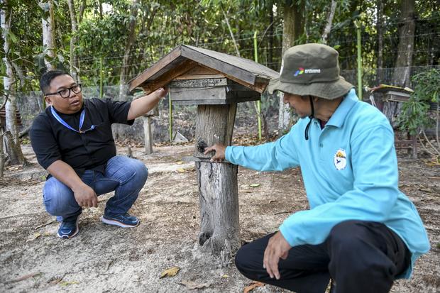 Nilai Transaksi KTH di Sulteng Capai Rp20 Miliar, Lampaui Target Nasional