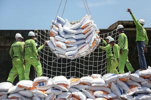Volume impor beras nasional meningkat