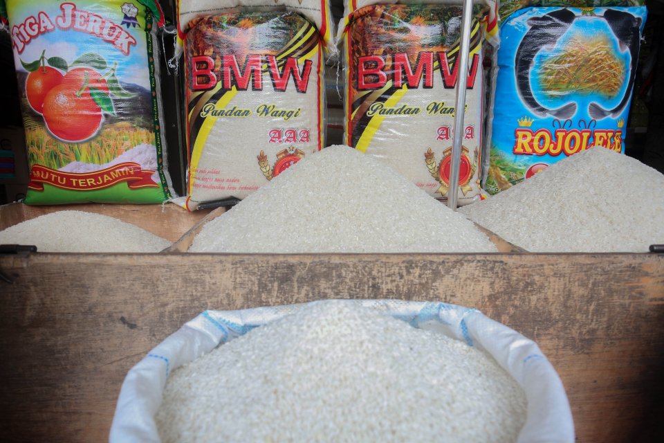 beras, produksi beras