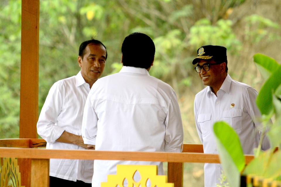 jokowi, jagung, impor