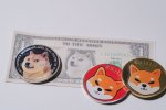 Doge Coin and Shiba Inu Coins