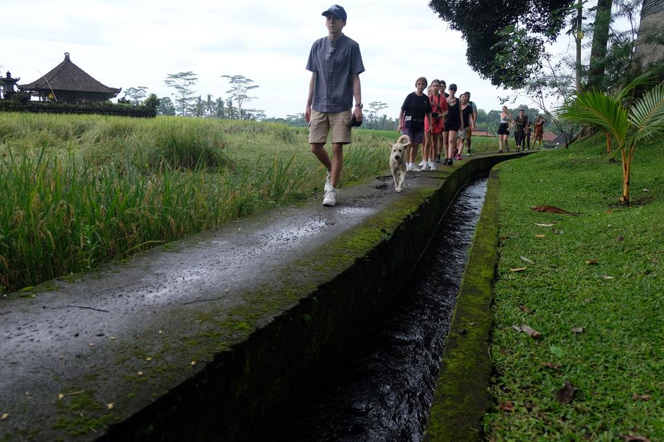 Wisatawan mancanegara berjalan di dekat saluran irigasi di area persawahan yang menerapkan pengairan lahan pertanian menggunakan pompa air bertenaga surya di Subak Lauh Batu, Desa Keliki, Gianyar, Bali, Selasa (23/4/2024).