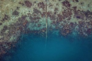 Kabar Lara dari Cagar Biosfer Dunia Karimunjawa