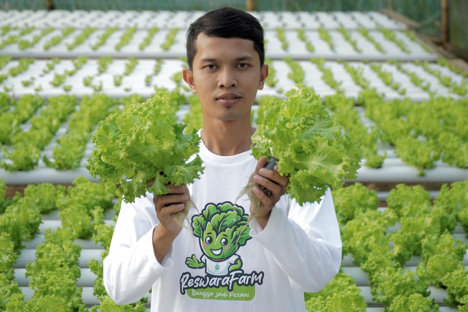 Cara Daftar Petani Milenial