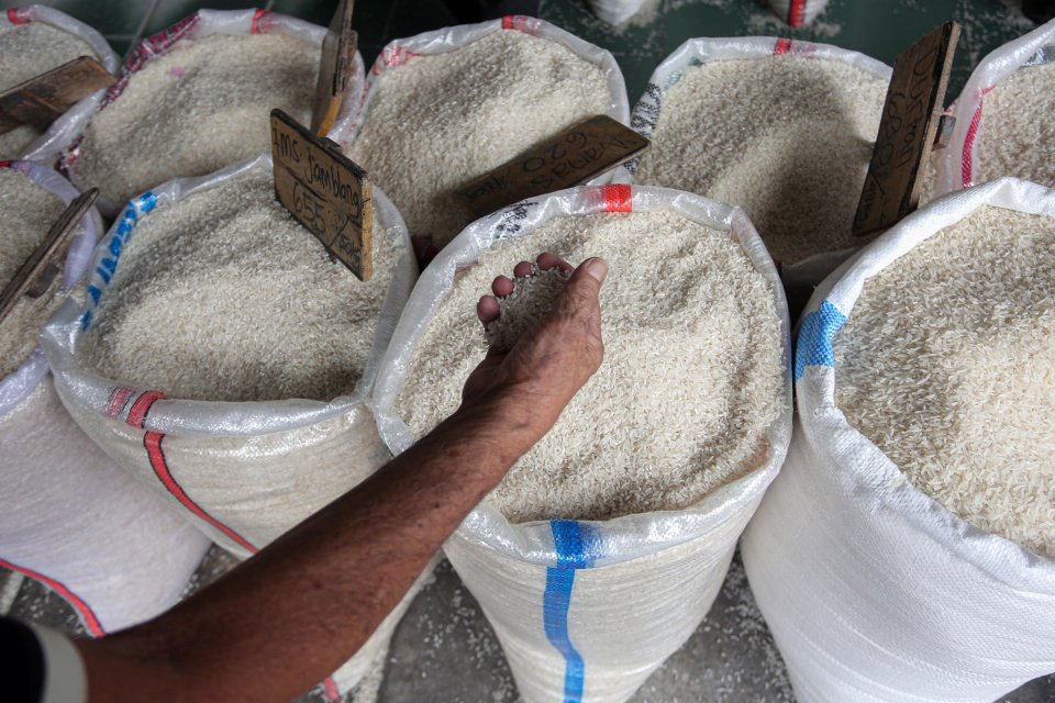 Pembeli mengecek kualitas beras yang akan dibeli di Pasar Beras Induk Cipinang, Jakarta, Selasa (4/6/2024). Pemerintah melalui Badan Pangan Nasional (Bapanas) kembali memperpanjang relaksasi harga eceran tertinggi (HET) untuk beras medium dan premium deng