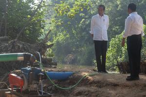 Presiden tinjau bantuan pompa air untuk pengairan sawah di Klaten