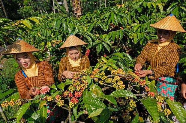 Uni Eropa, UU Antideforestasi, Indonesia, IEU-CEPA