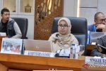 Staf Ahli Bidang Ekonomi Sumber Daya Alam Kementerian ESDM Lana Saria