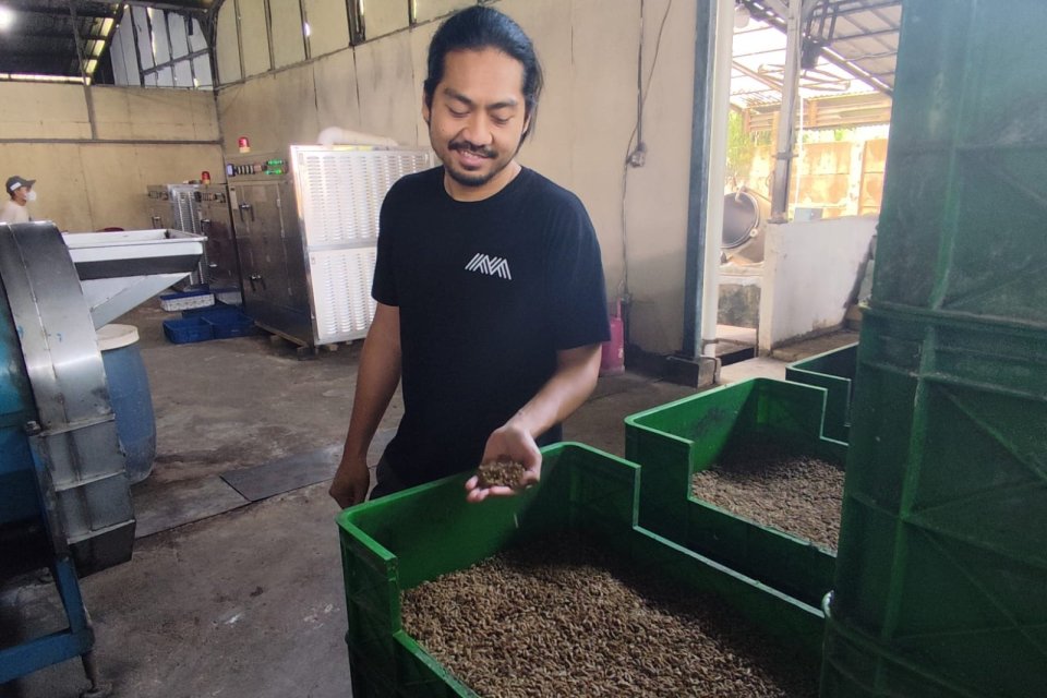 Founder Magalava Rendria Labde menunjukkan maggot yang akan dieskpor di Gunungsindur, Bogor, Rabu (10/7).