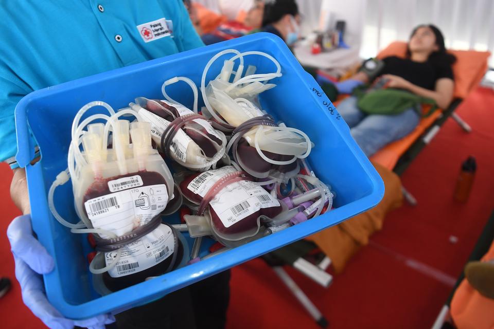 Petugas membawa darah hasil donor dari warga saat peringatan Hari Donor Darah Sedunia di Jakarta, Minggu (14/7/2024). Peringatan yang mengangkat tema merayakan 20 tahun memberi : terima kasih pendonor darah tersebut diikuti oleh 298 peserta pendaftar yang