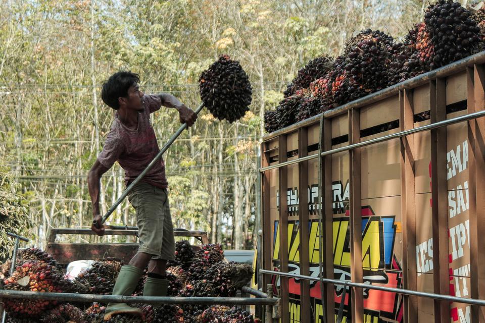 Konsistensi Pelaku Industri dalam Mendukung Sawit Berkelanjutan