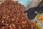 Harga cokelat di Flores naik