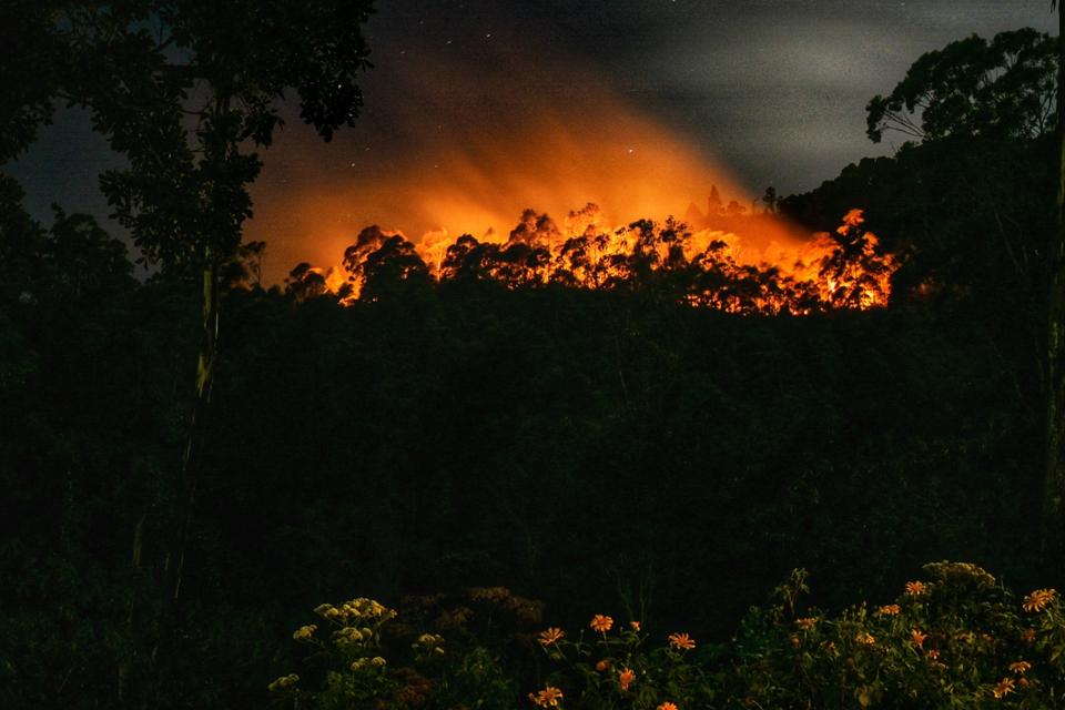 Api membakar hutan dan lahan (karhutla) lereng gunung Sipiso-piso di Merek, Karo, Sumatera Utara, Kamis (18/7/2024) malam. Menurut data Badan Penanggulangan Bencana Daerah (BPBD) Karo, api yang membakar sekitar 20 hektare hutan dan lahan di lereng gunung