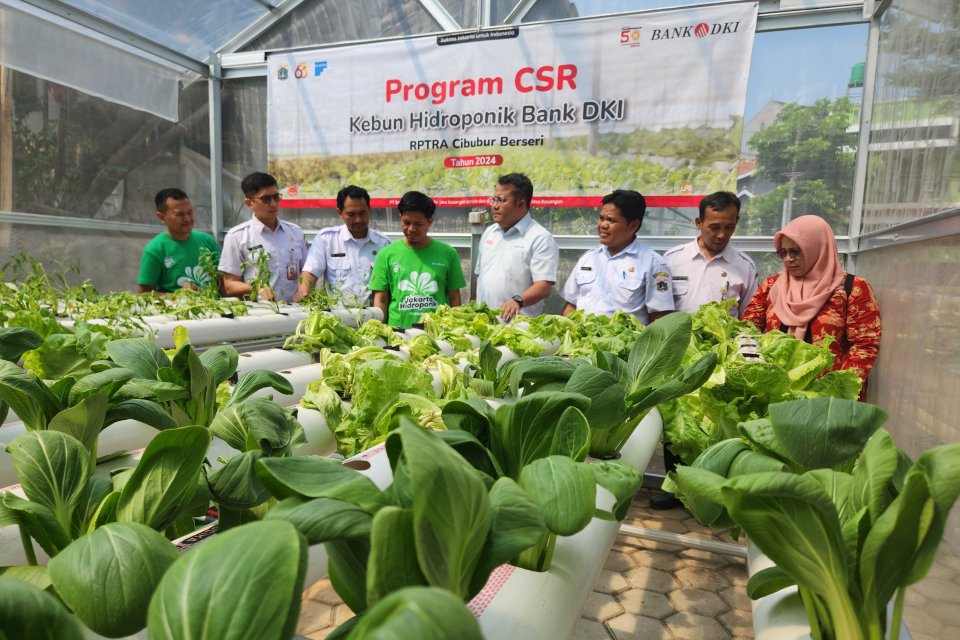 Bank DKI menyebut, program Kebun Hidroponik di RPTRA Cibubur, Jakarta Timur merupakan upaya untuk meningkatkan perekonomian masyarakat melalui peningkatan ketahanan pangan berbasis lingkungan.