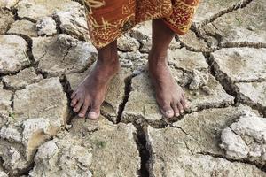 Ribuan hektare sawah terdampak kerusakan bendungan