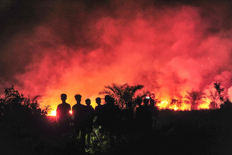 Warga menyaksikan kebakaran hutan dan lahan (karhutla) di Tangkit, Muaro Jambi, Jambi, Selasa (30/7/2024). Warga setempat menyebutkan, sekitar lima hektare lahan di daerah itu terbakar sejak Selasa (30/7/2024) sore.