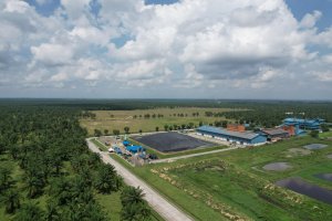 Dukung Dekarbonisasi Industri, Penjualan Kredit Karbon Pertamina NRE Meningkat