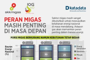 Peran Migas Masih Penting di Masa Depan