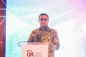 Hasan Fawzi, OJK