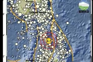 Gempa di Sulawesi Utara pada Sabtu malam (9/8/2024) 