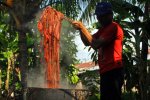 Batik mangrove Sumatra menuju pasar Eropa