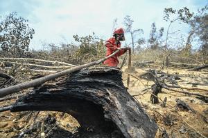 Pemadaman kebakaran lahan gambut di Sumatera Selatan