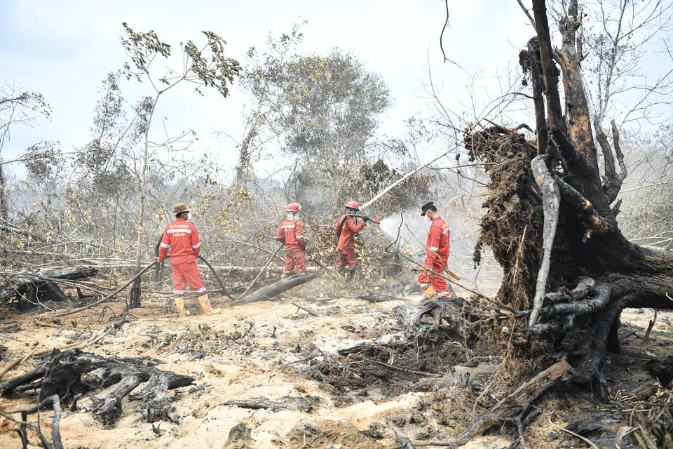 Personel Manggala Agni Daops Ogan Komering Ilir (OKI) melakukan pemadaman kebakaran lahan gambut di Desa Tanjung Sari II, Kecamatan Lempuing Jaya, Kabupaten Ogan Komering Ilir (OKI), Sumatera Selatan, Sabtu (17/8/2024).