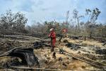 Pemadaman kebakaran lahan gambut di Sumatera Selatan