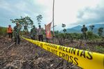 Ladang ilegal di penyangga taman nasional Jambi
