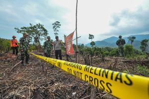 Ladang ilegal di penyangga taman nasional Jambi