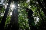 Pesona Hutan Hujan Tropis di Geopark Meratus