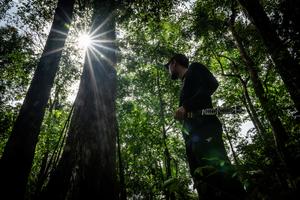 Pesona Hutan Hujan Tropis di Geopark Meratus