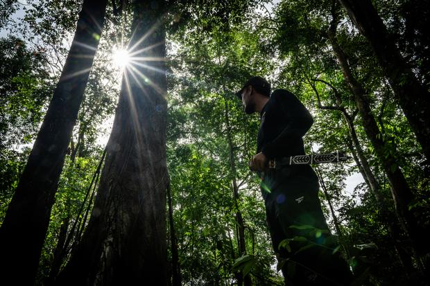 Riset: Pohon dan Tanah Tidak Mampu Menyerap Karbon Tahun Lalu