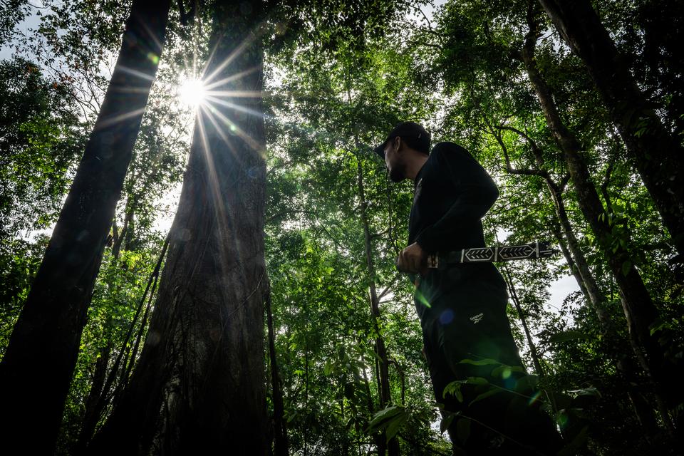 karbon, hutan dan lahan