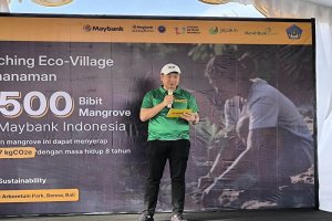 Tanam 2.500 Bibit Mangrove, Komitmen Maybank Indonesia untuk Keberlanjutan