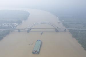 Jambi diselimuti kabut asap karhutla