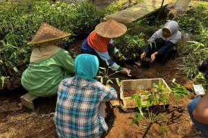 Sentra Edukasi Bambu YBLL untuk Konservasi Air dan Pemberdayaan Ekonomi