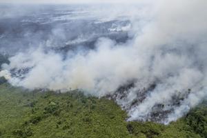 Karhutla hari kesepuluh di Muaro Jambi