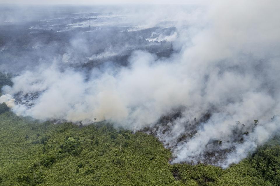 Foto udara api membakar lahan di Desa Rantau Panjang, Muaro Jambi, Jambi, Senin (2/9/2024). Kebakaran yang terjadi sejak Jumat (23/8/2024) dan telah menjalar ke tiga desa meliputi Rantau Panjang, Rondang, dan Londrang dengan menghanguskan 1.000 hektare le