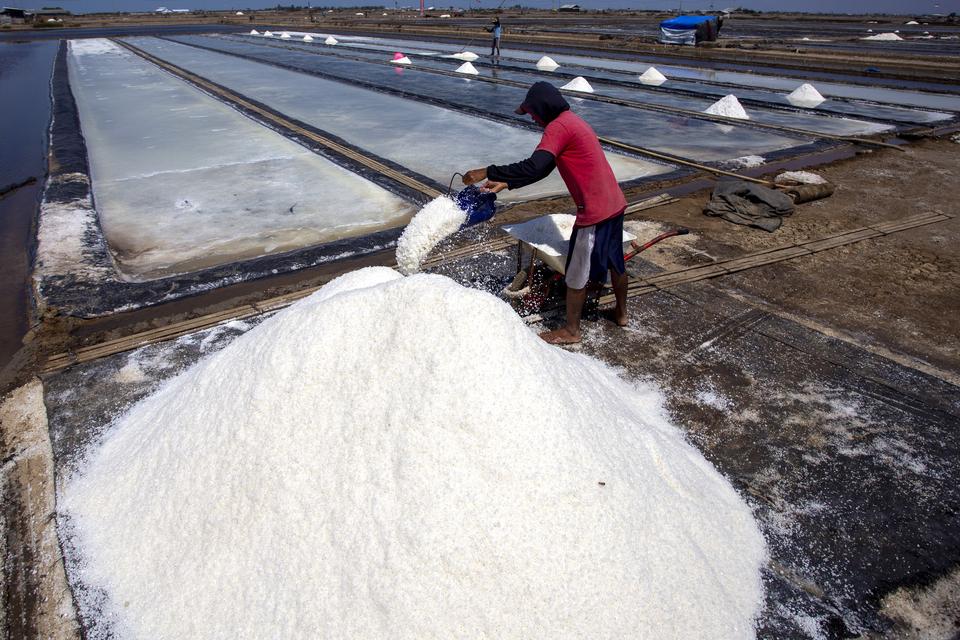 Petani memanen garam di kawasan tambak garam desa Tanjakan, Krangkeng, Indramayu, Jawa Barat, Rabu (4/9/2024). Kementerian Pertanian dan Perikanan (KKP) menargetkan Indonesia swasembada garam pada tahun 2025 yang sebelumnya ditargetkan pada tahun 2024 ses