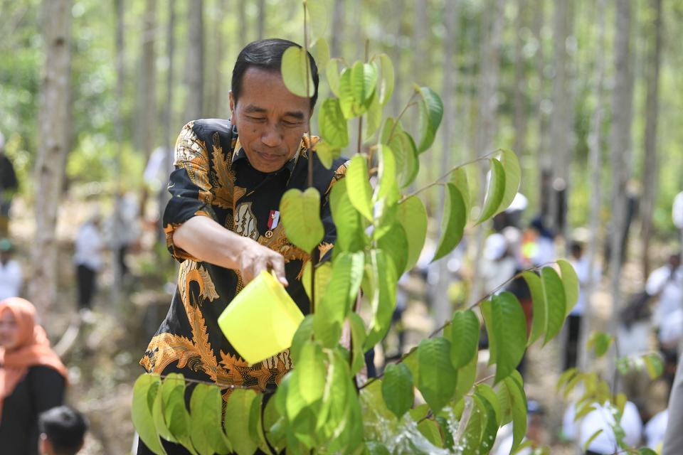 Presiden Joko Widodo menyiram tanaman Tengkawang saat mencanangkan hutan pendidikan Wanagama Nusantara di Ibu Kota Nusantara (IKN), Penajam Paser Utara, Kalimantan Timur, Jumat (13/9/2024). 