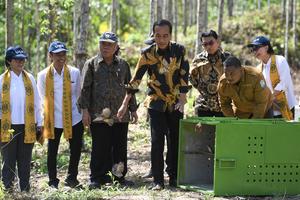 Presiden canangkan hutan pendidikan Wanagama di IKN