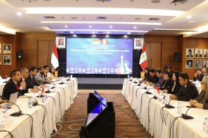 Perundingan IP CEPA